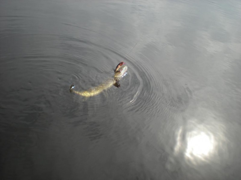 DSCN4450.JPG