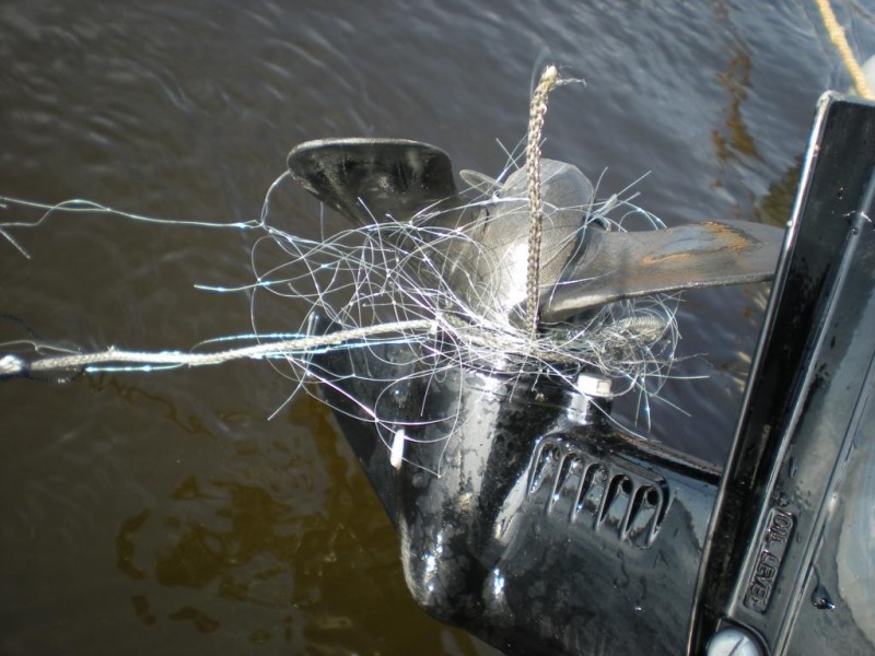 DSCN4455.JPG