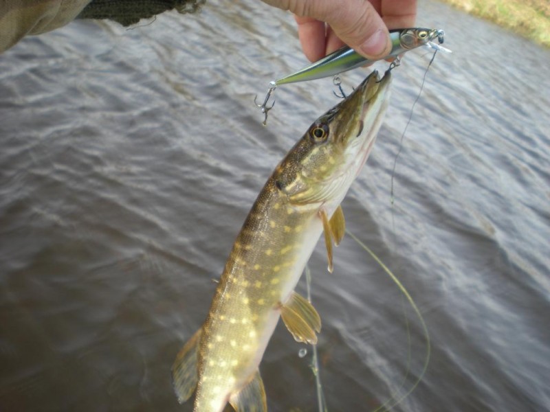 DSCN4460.JPG