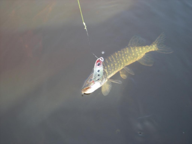 DSCN4463.JPG