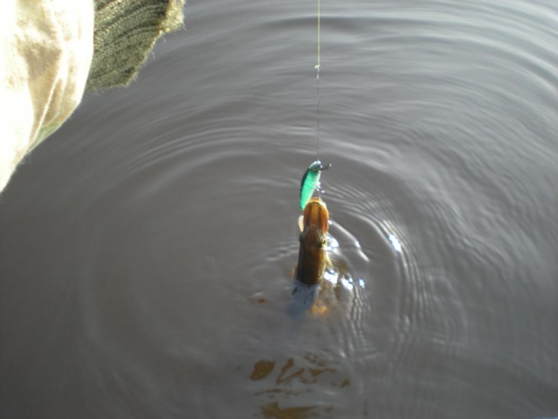 DSCN4466.JPG