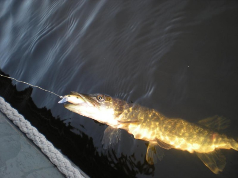 DSCN4469.JPG