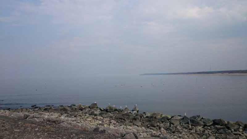 DSC_0329.JPG