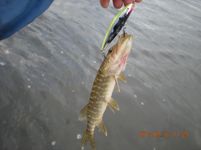 DSCN4490.JPG