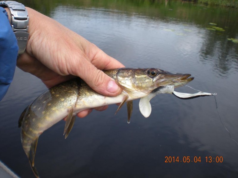 DSCN4491.JPG