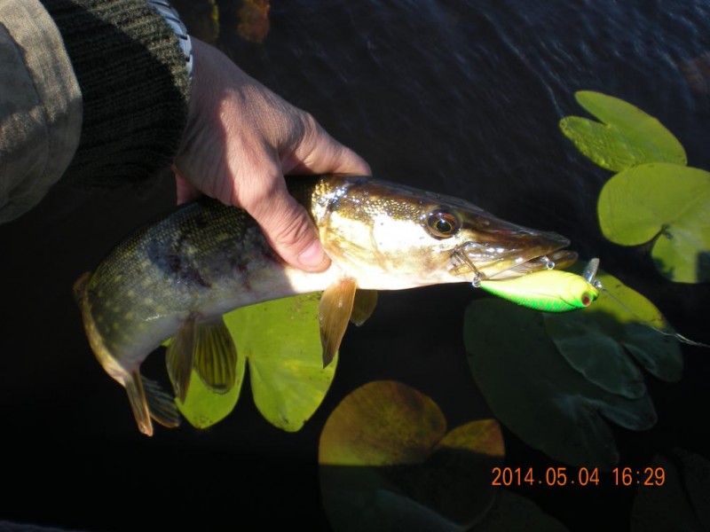 DSCN4502.JPG