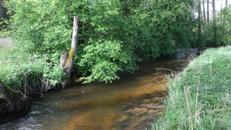 DSCF2509.JPG