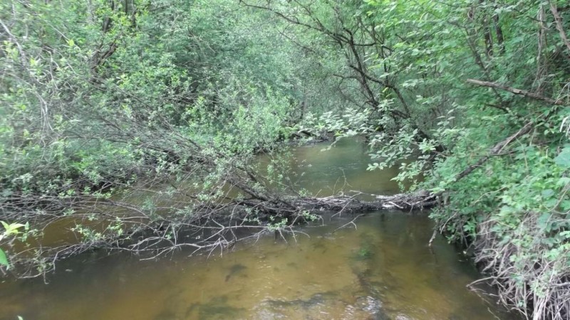 DSCF2521.JPG
