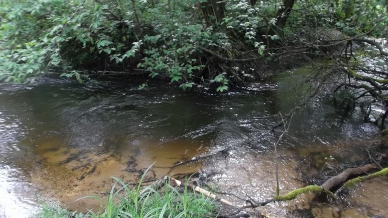 DSCF2531.JPG