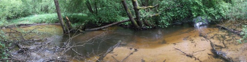 DSCF2526.JPG