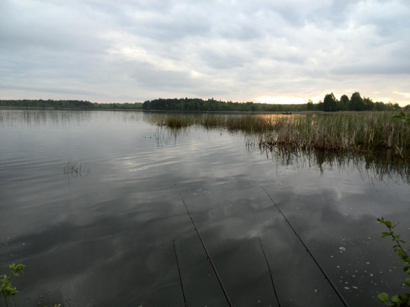 IMG_20140518_080237.jpg