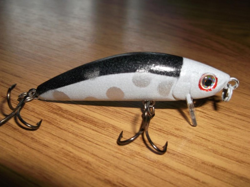 DSCF2530.jpg
