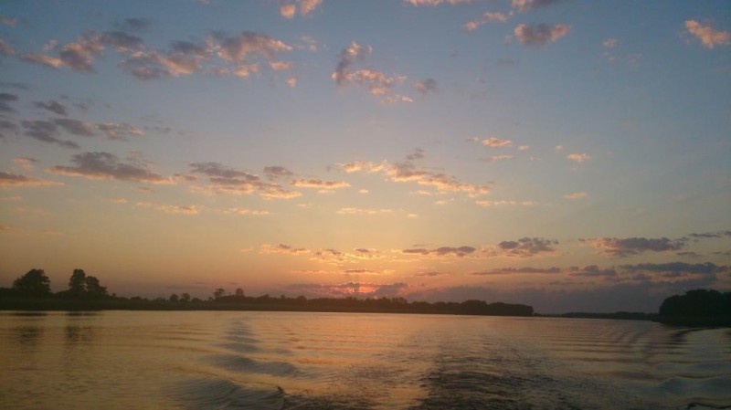 DSC_0224.JPG