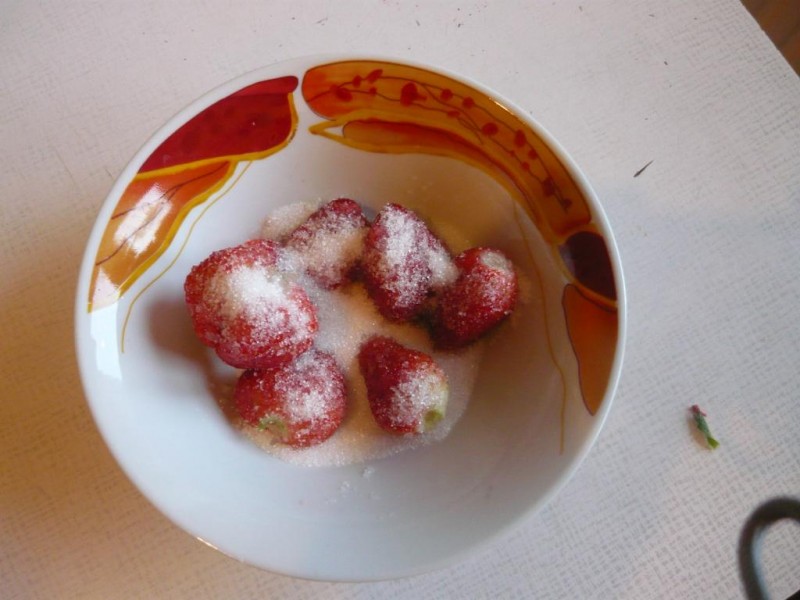 P1000757.JPG