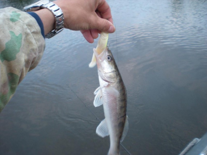 DSCN4517.JPG