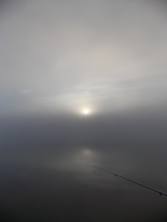 DSCN0266.JPG
