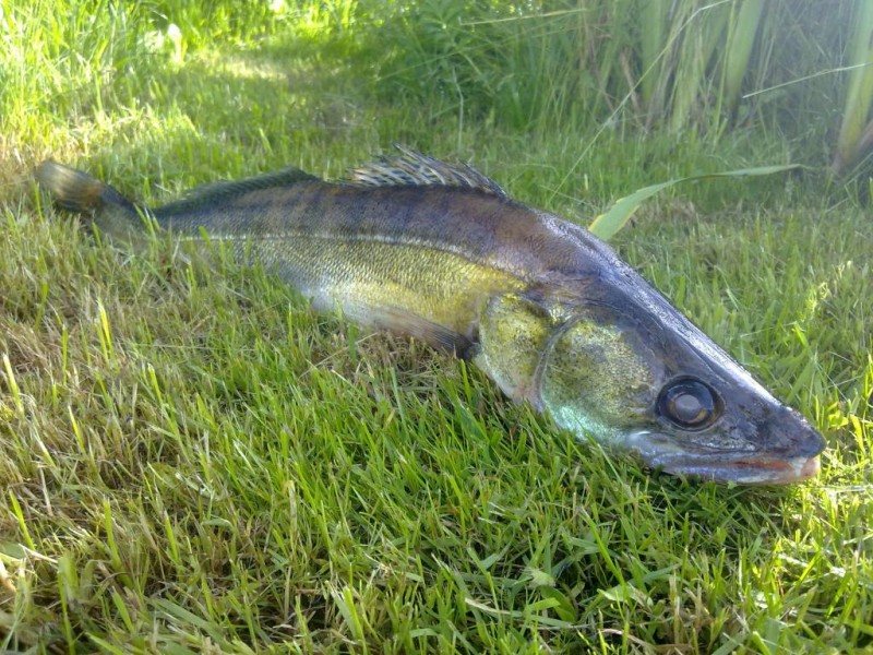 20140609571.jpg