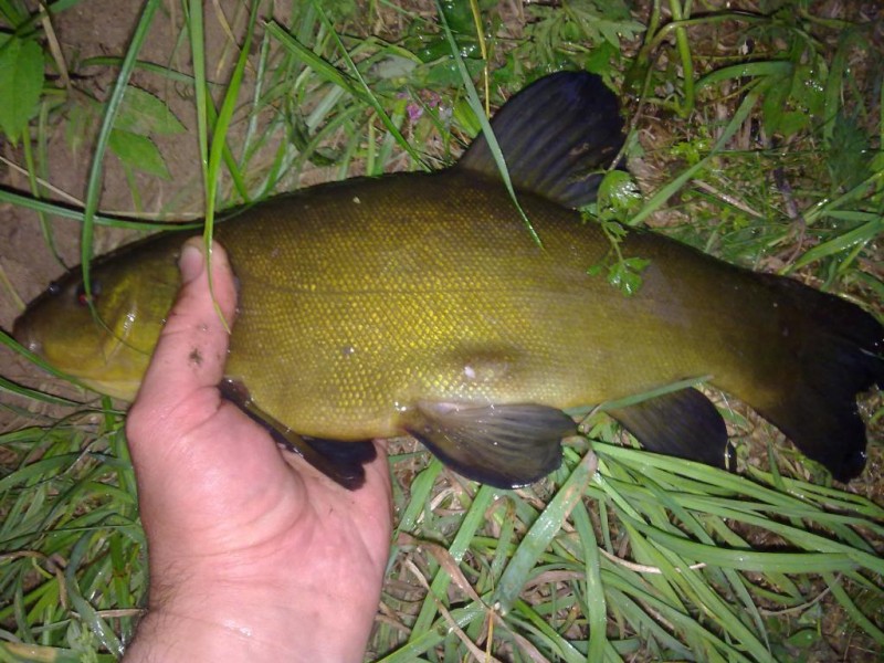 20140609232.jpg