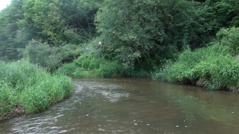 DSCF2708.JPG
