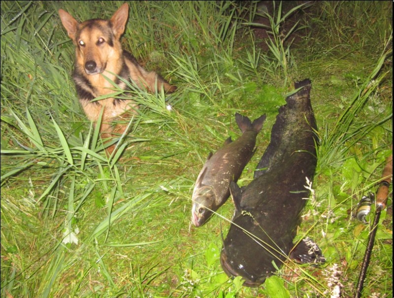 20140616 0003.jpg