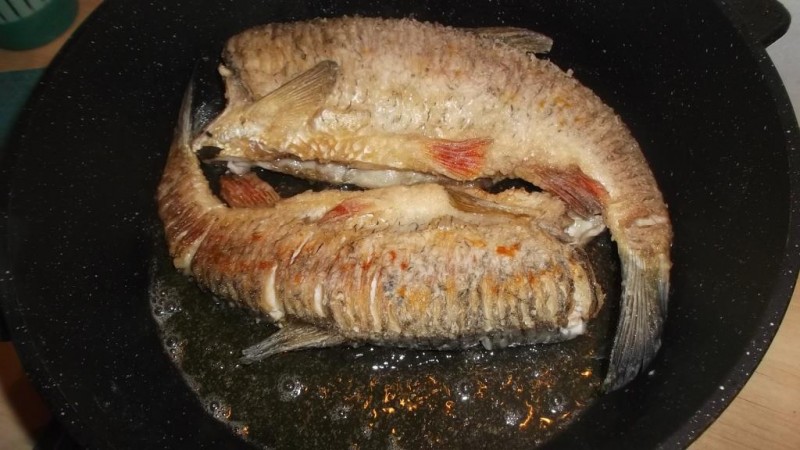 DSCF2689.JPG