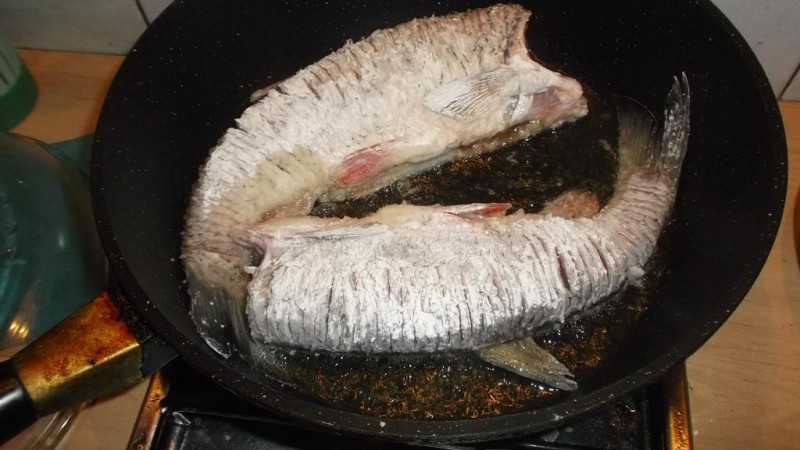 DSCF2687.JPG